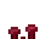 Nether_Wart